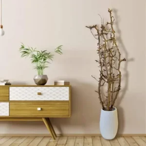 Set van 3 Perentakken Gezandstraald 150cm