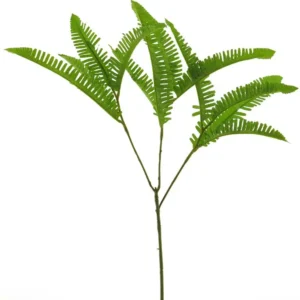 Varenblad klein Groen 40cm