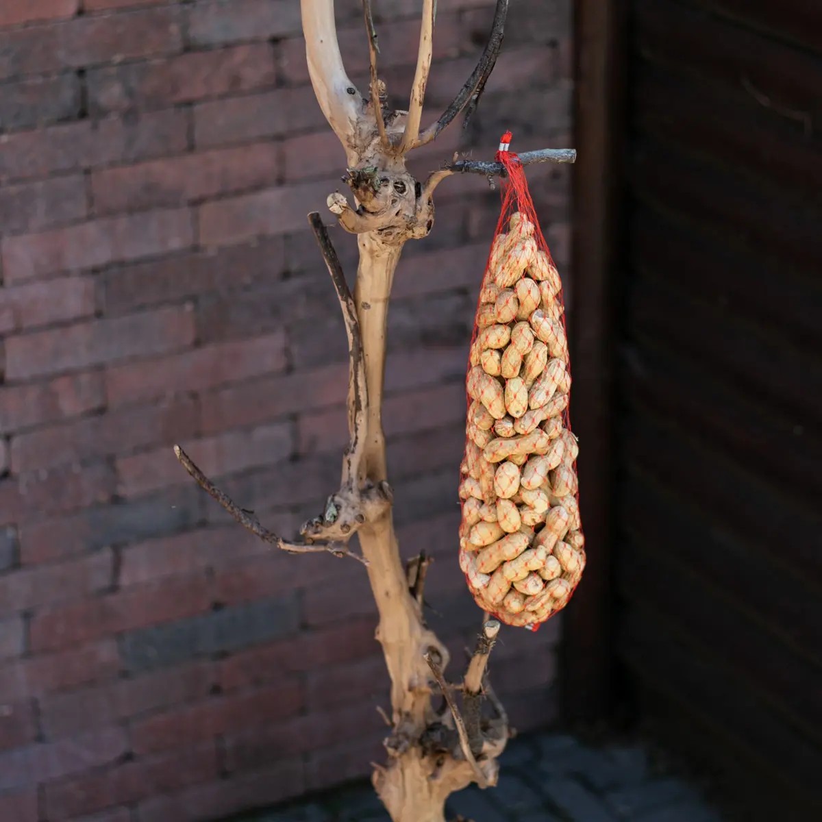 Vogelboom Luna 120cm (3)