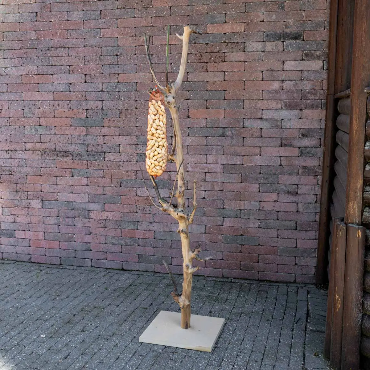 Vogelboom Luna 120cm (5)