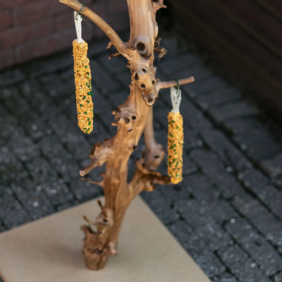 Vogelboom Luna 75cm (4)