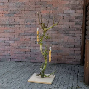 Vogelboom Rani 75cm (1)