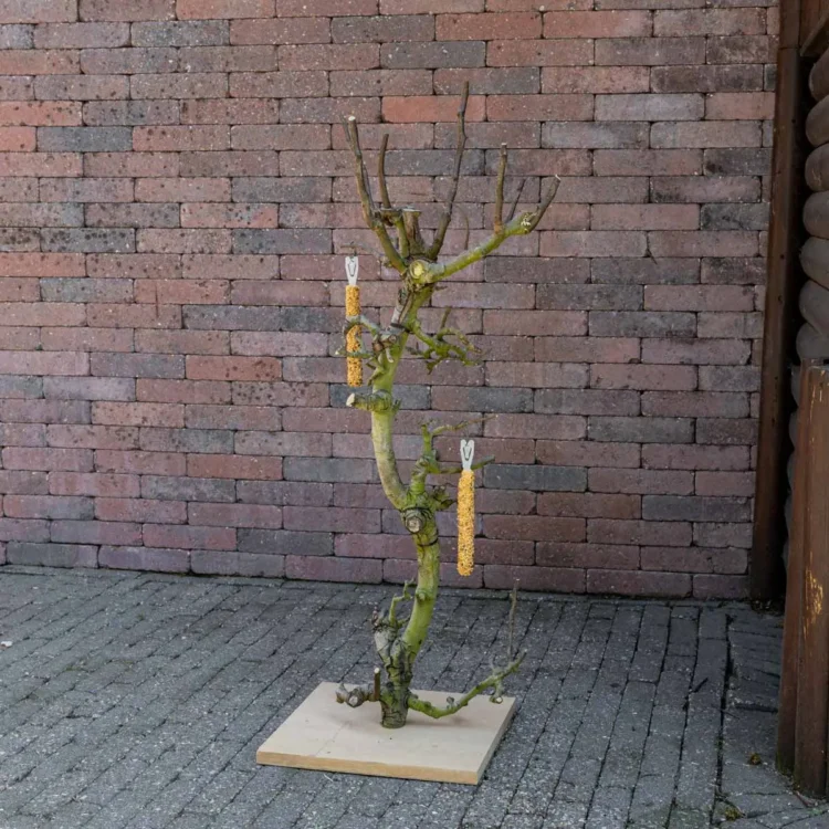 Vogelboom Rani 75cm (1)