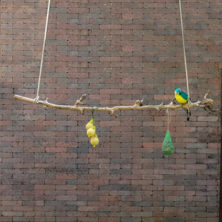 Volière tak Gezandstraald 120cm (1)