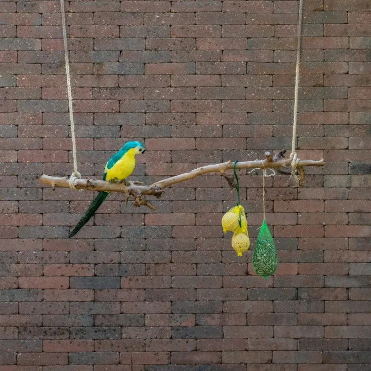 Volière tak Gezandstraald 80cm (1)