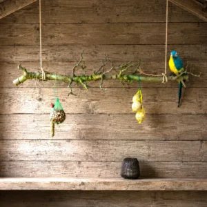 Volieretak peren naturel (1)