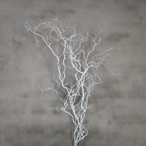 Wilgentak wit 150 cm