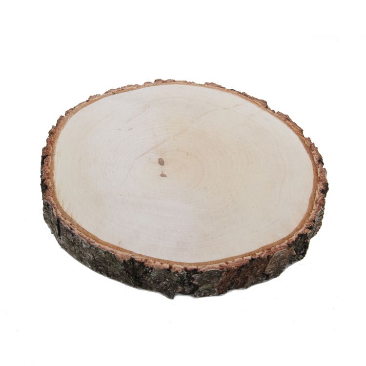 houtschijf berk geschuurd 25-30 cm