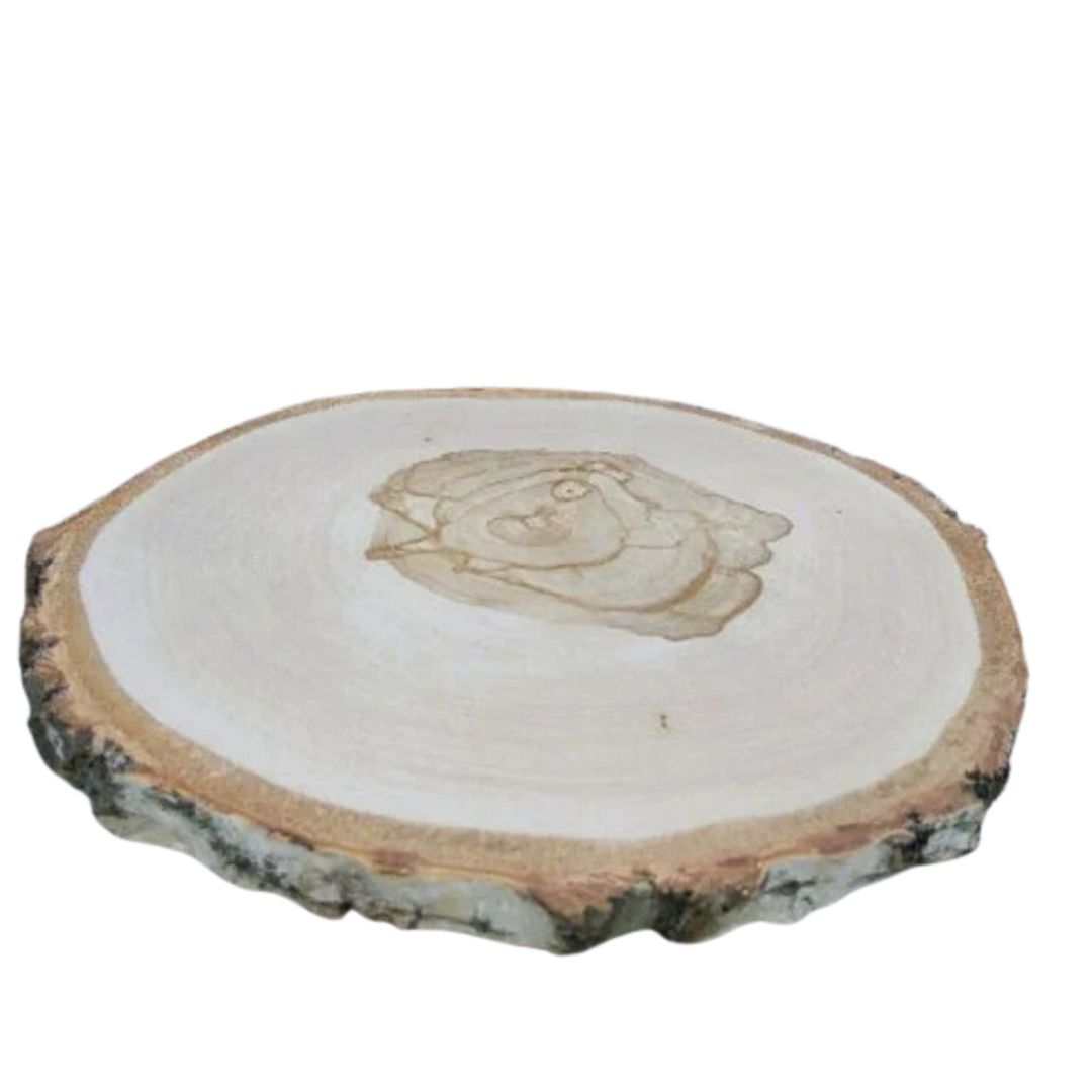 houtschijf berk geschuurd 30-35 cm