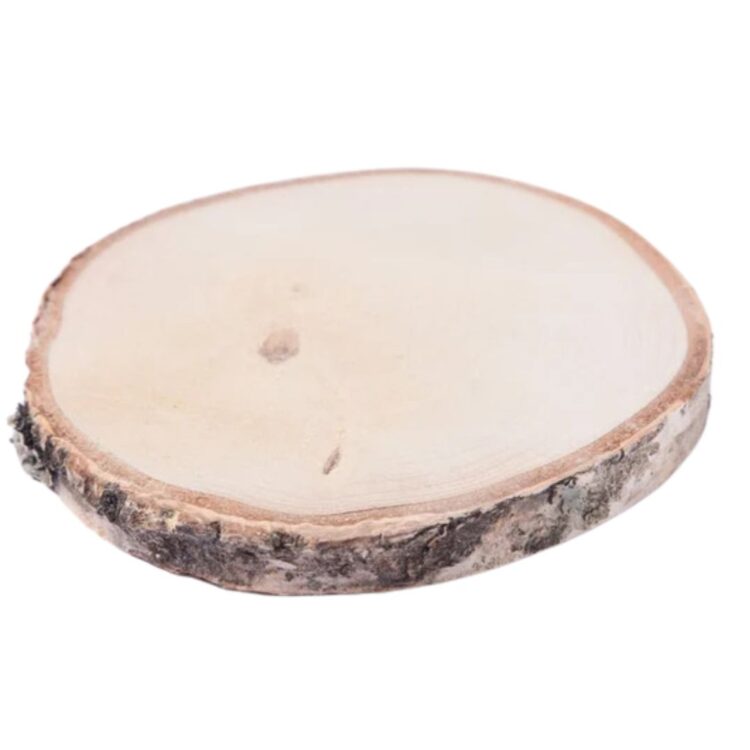 houtschijf berk geschuurd 35-40 cm